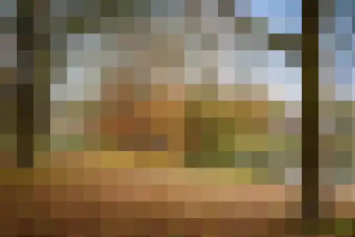 Herman Boerhaavelaan 33 Deventer thumbnail 49
