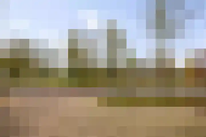 Herman Boerhaavelaan 33 Deventer thumbnail 6