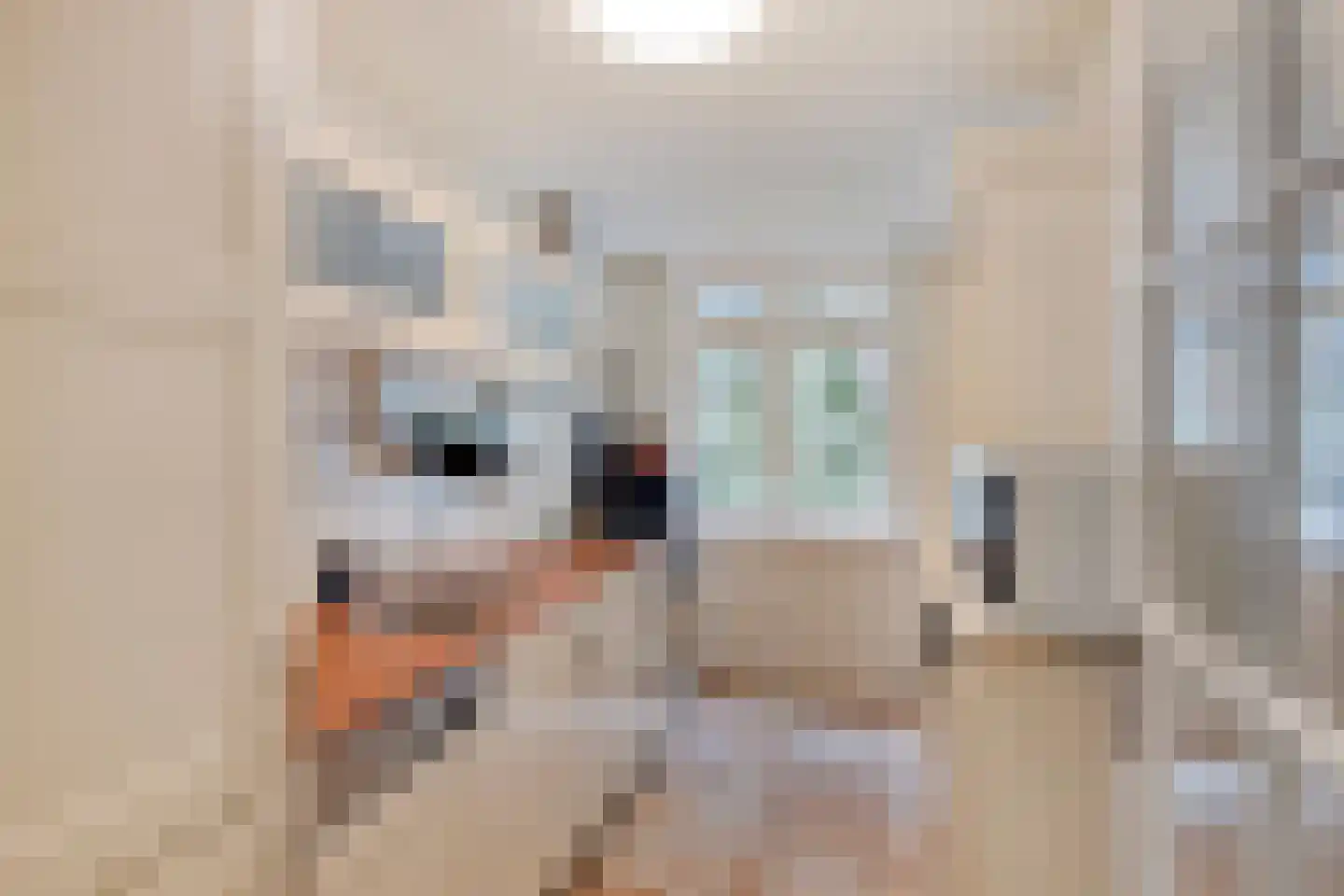Herman Boerhaavelaan 4 Deventer thumbnail 10