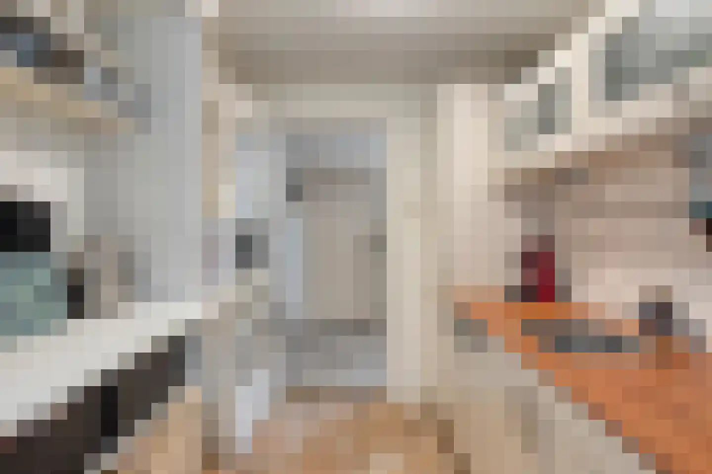 Herman Boerhaavelaan 4 Deventer thumbnail 11