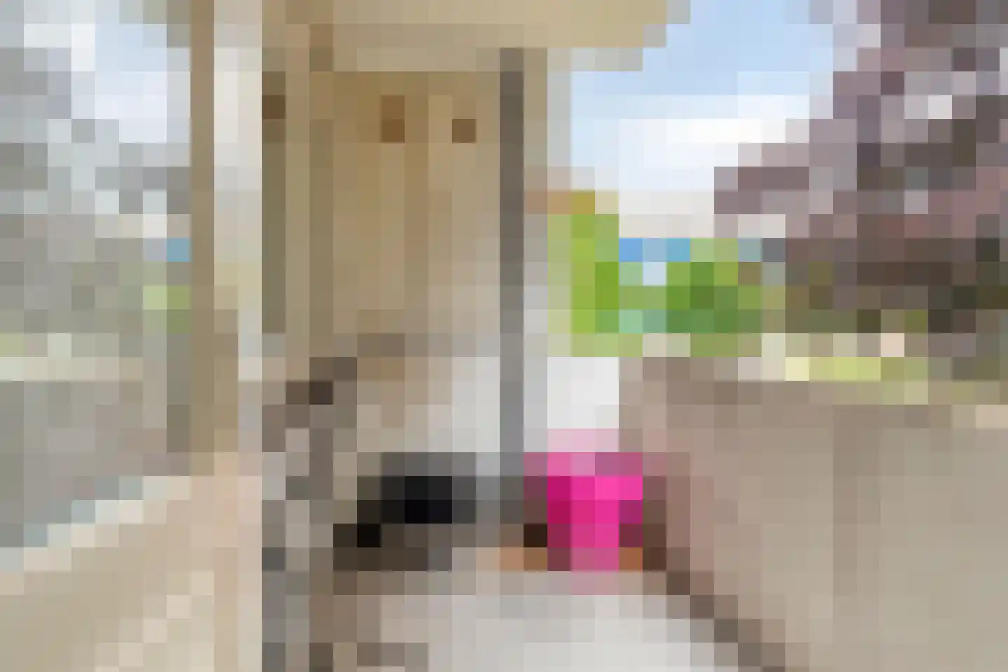 Herman Boerhaavelaan 4 Deventer thumbnail 15