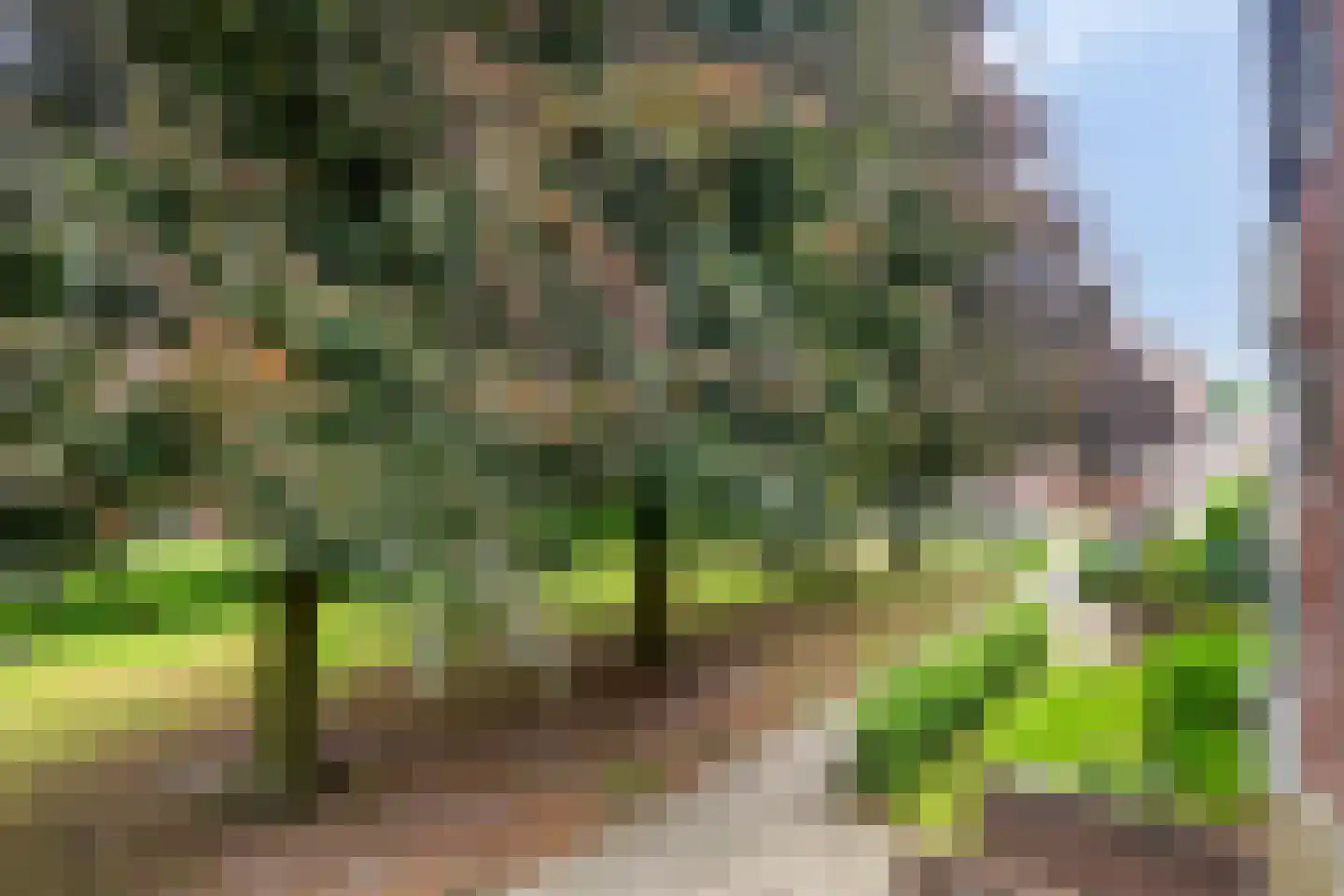Herman Boerhaavelaan 4 Deventer thumbnail 16