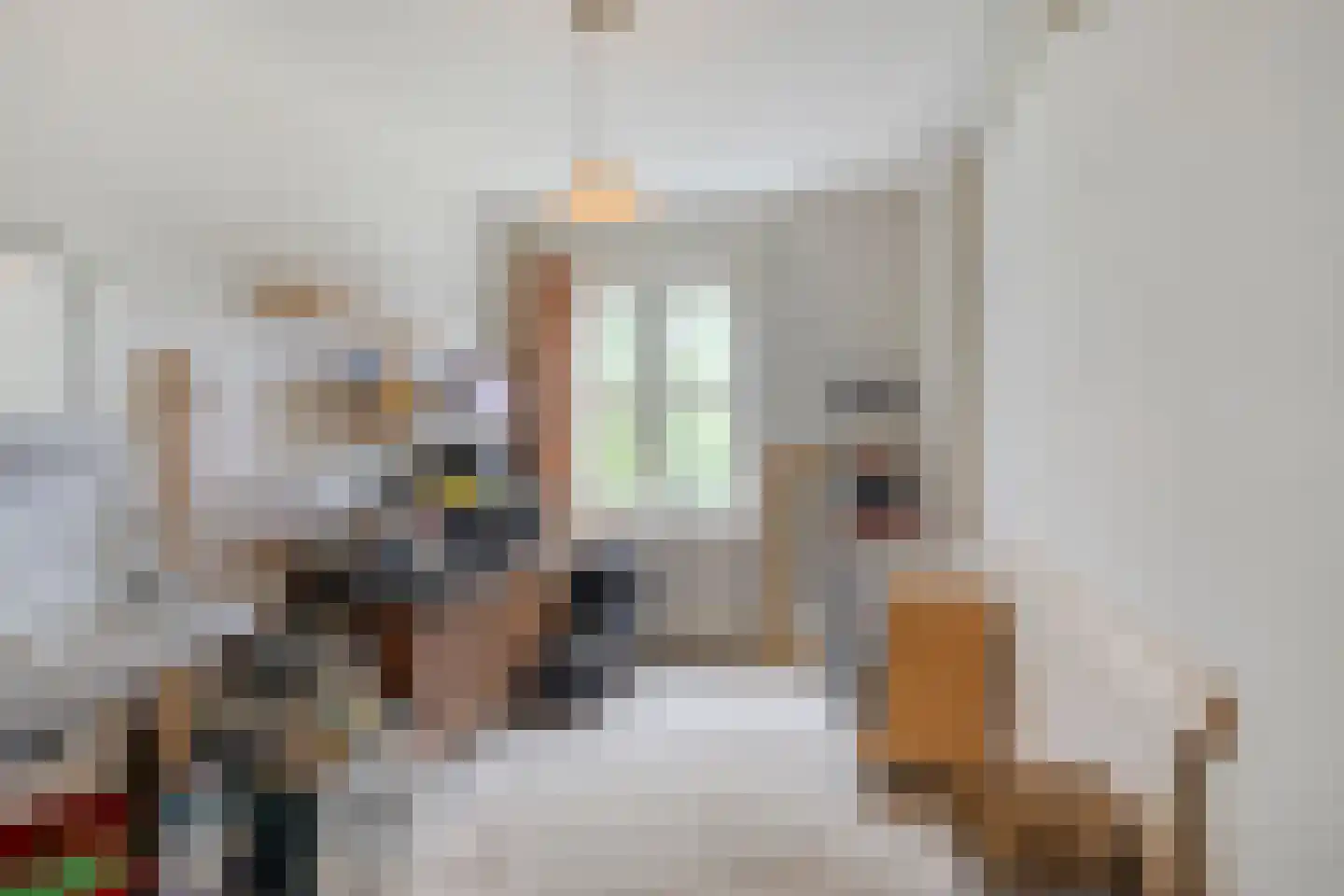 Herman Boerhaavelaan 4 Deventer thumbnail 17