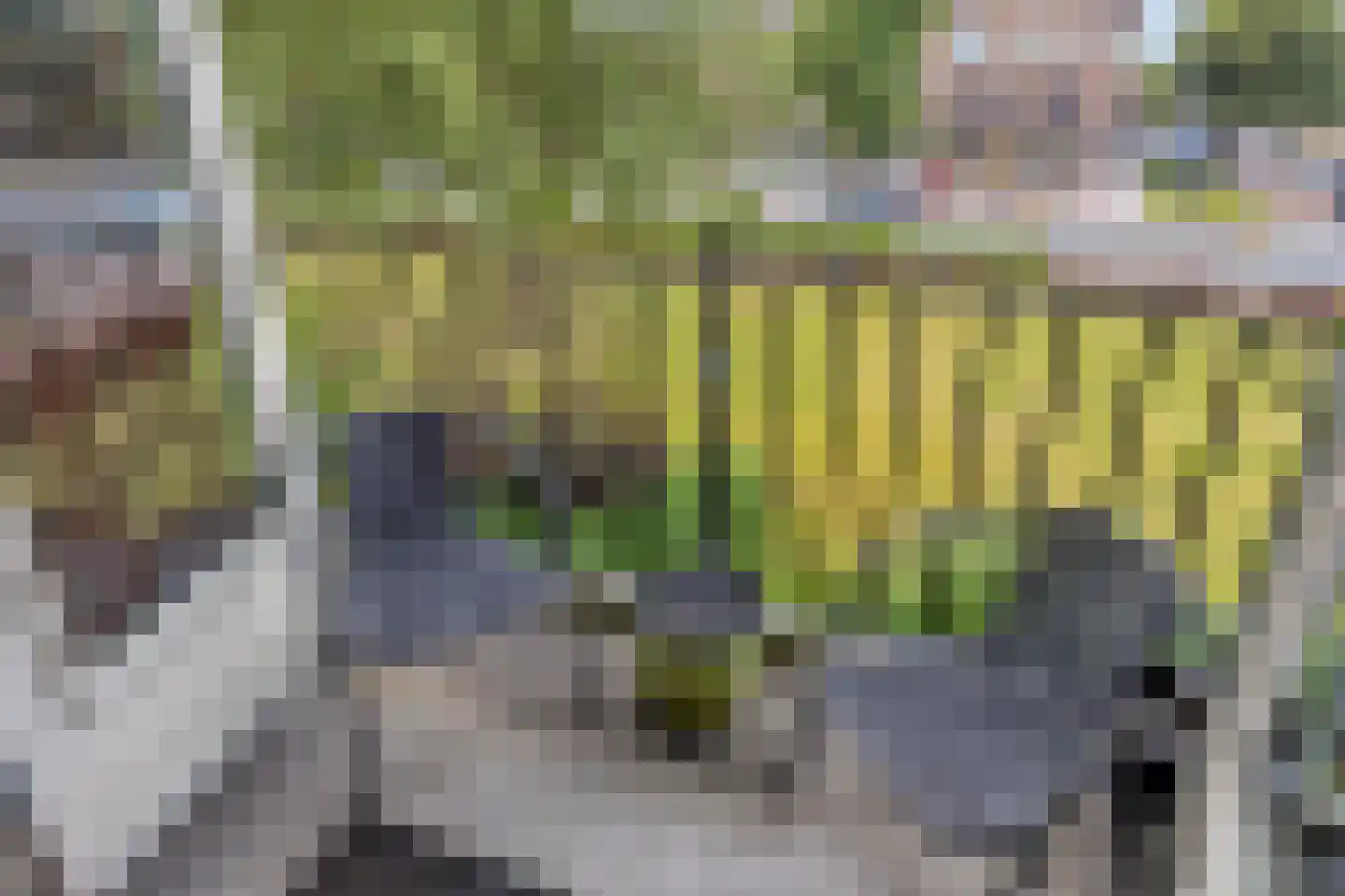 Herman Boerhaavelaan 4 Deventer thumbnail 6