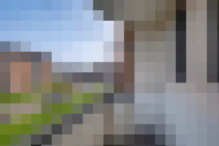 Herman Boerhaavelaan 58 Deventer thumbnail 24