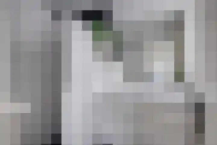 Herman Boerhaavelaan 58 Deventer thumbnail 4