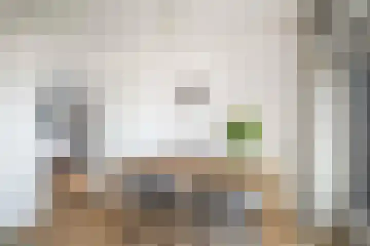 Herman Boerhaavelaan 6 Deventer thumbnail 10