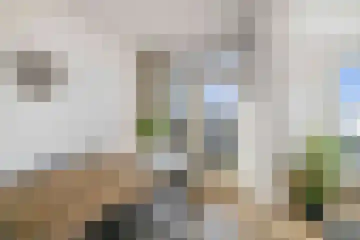 Herman Boerhaavelaan 6 Deventer thumbnail 11