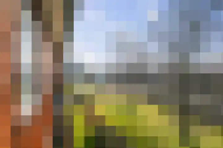 Herman Boerhaavelaan 6 Deventer thumbnail 13