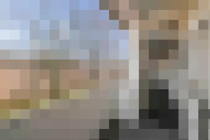 Herman Boerhaavelaan 6 Deventer thumbnail 15