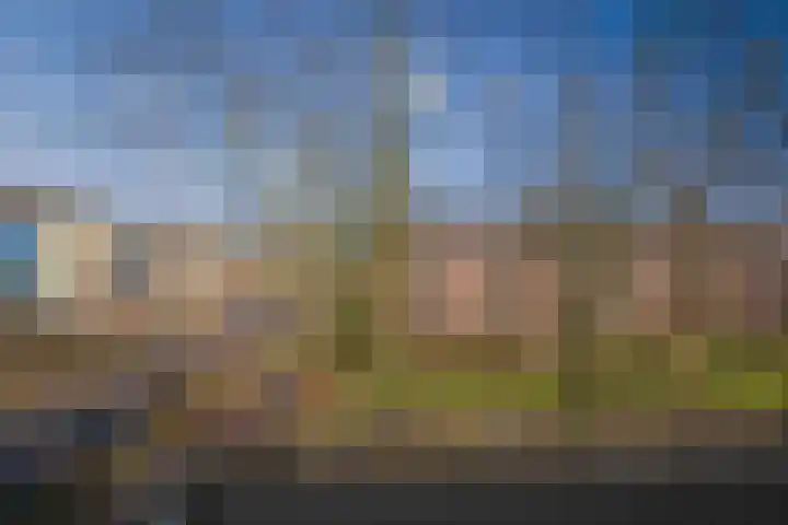 Herman Boerhaavelaan 6 Deventer thumbnail 16