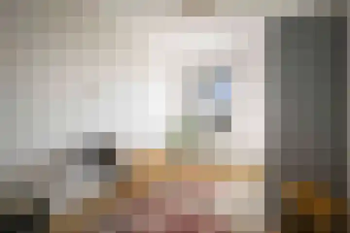 Herman Boerhaavelaan 6 Deventer thumbnail 20