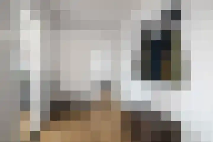 Herman Boerhaavelaan 6 Deventer thumbnail 7