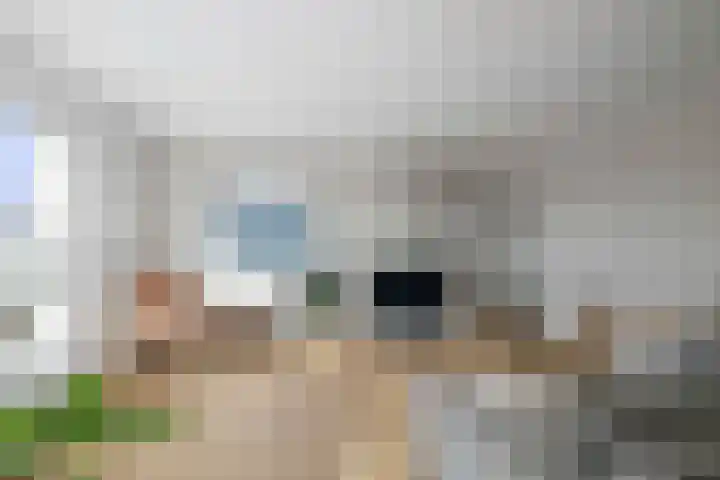 Herman Boerhaavelaan 6 Deventer thumbnail 9