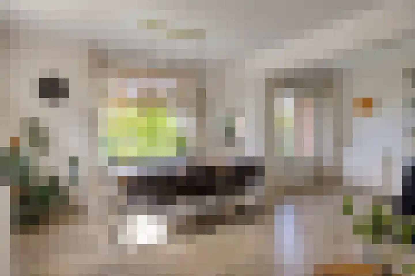 Herman Boerhaavelaan 72 Deventer thumbnail 17