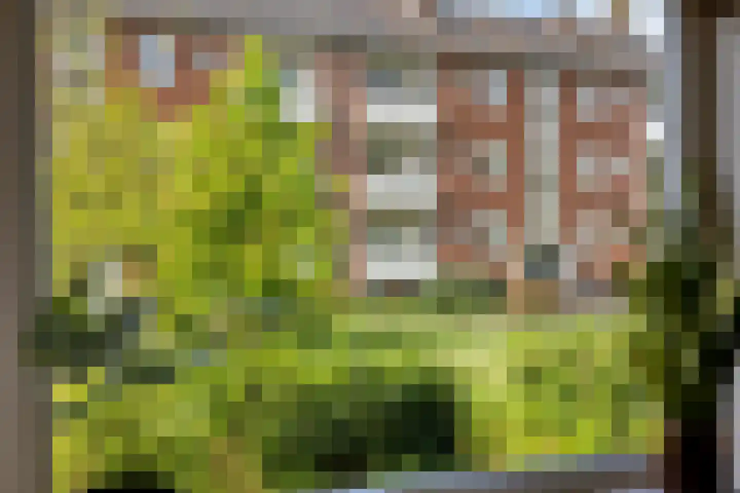 Herman Boerhaavelaan 72 Deventer thumbnail 18