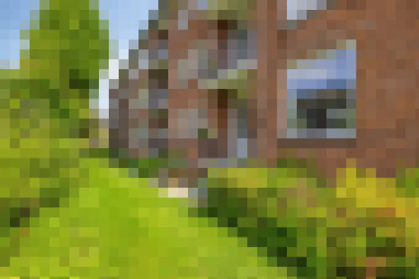 Herman Boerhaavelaan 72 Deventer thumbnail 33