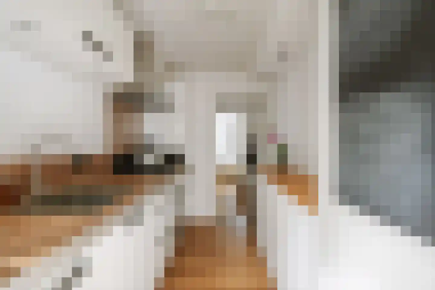 Herman Boerhaavelaan 82 Deventer thumbnail 21
