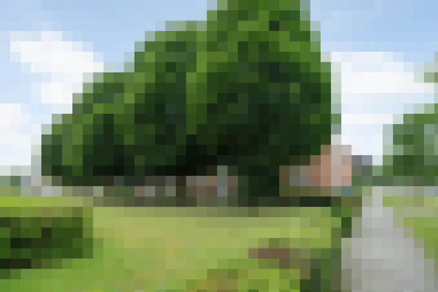 Herman Boerhaavelaan 82 Deventer thumbnail 27