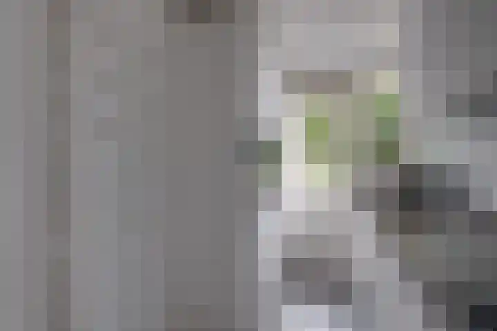 Herman Boerhaavelaan 96 Deventer thumbnail 18