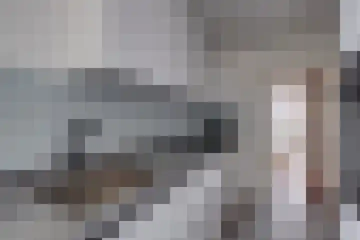 Herman Boerhaavelaan 96 Deventer thumbnail 19