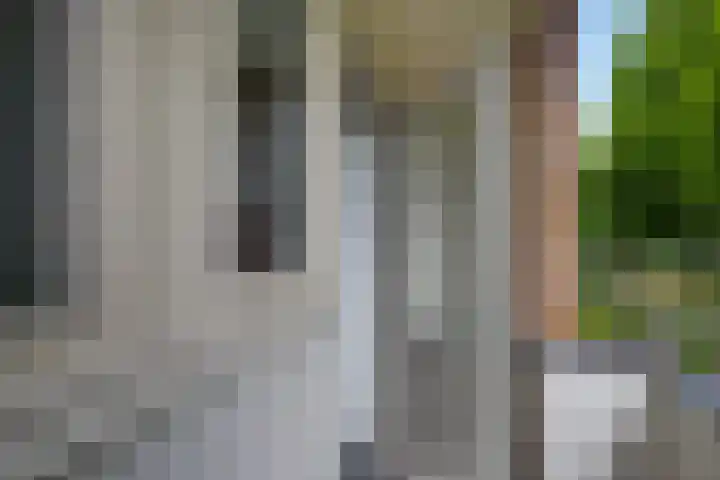 Herman Boerhaavelaan 96 Deventer thumbnail 21