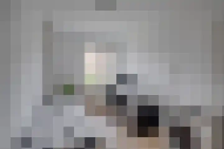 Herman Boerhaavelaan 96 Deventer thumbnail 27