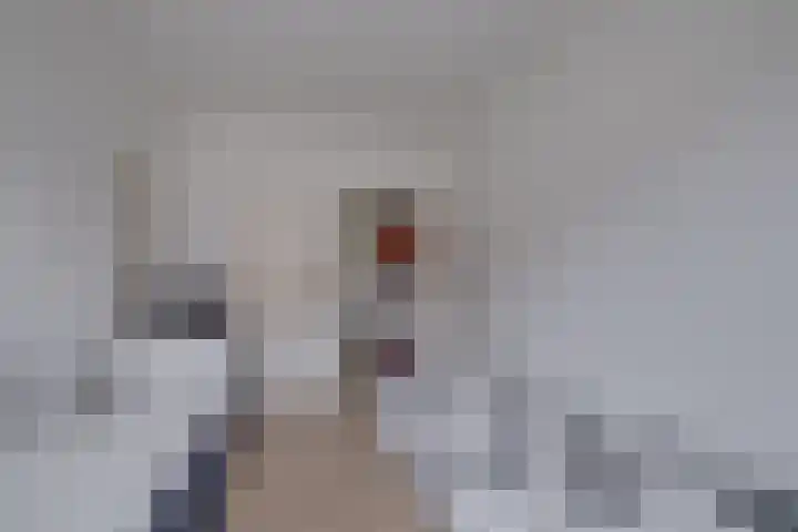 Herman Boerhaavelaan 96 Deventer thumbnail 28