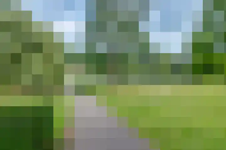 Herman Boerhaavelaan 96 Deventer thumbnail 33