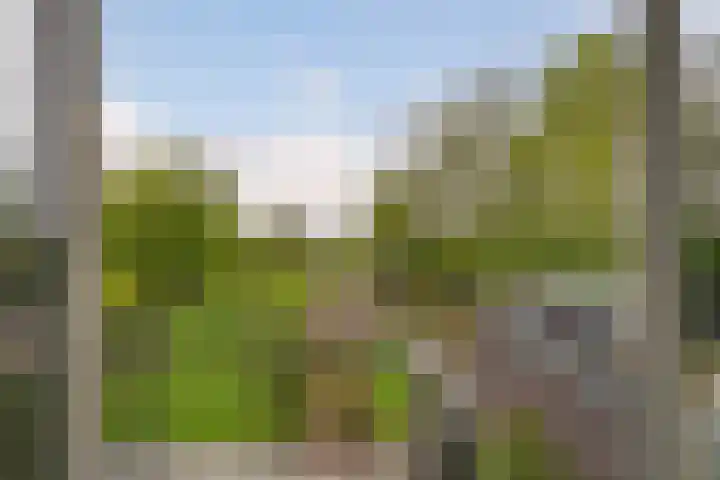 Herman Boerhaavestraat 9 Waspik thumbnail 29