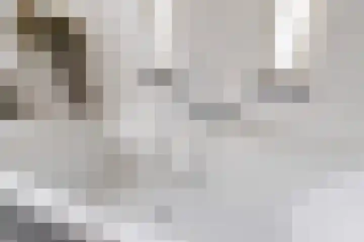 Herman Boerhaavestraat 9 Waspik thumbnail 33