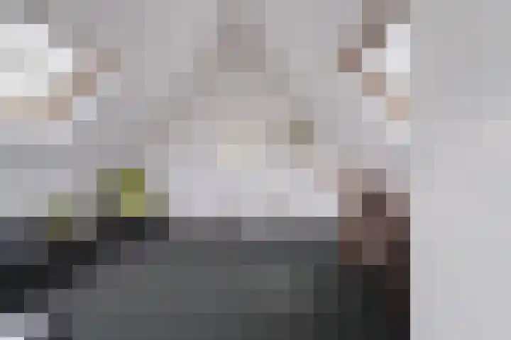 Herman Boerhaavestraat 9 Waspik thumbnail 39