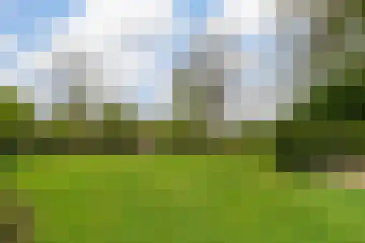 Herman Boerhaavestraat 9 Waspik thumbnail 46