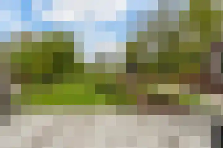 Herman Boerhaavestraat 9 Waspik thumbnail 47