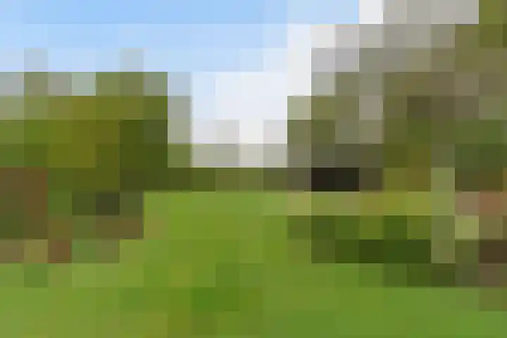 Herman Boerhaavestraat 9 Waspik thumbnail 48