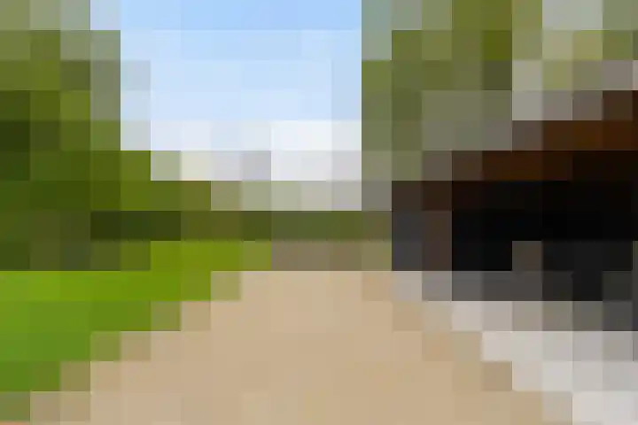 Herman Boerhaavestraat 9 Waspik thumbnail 50