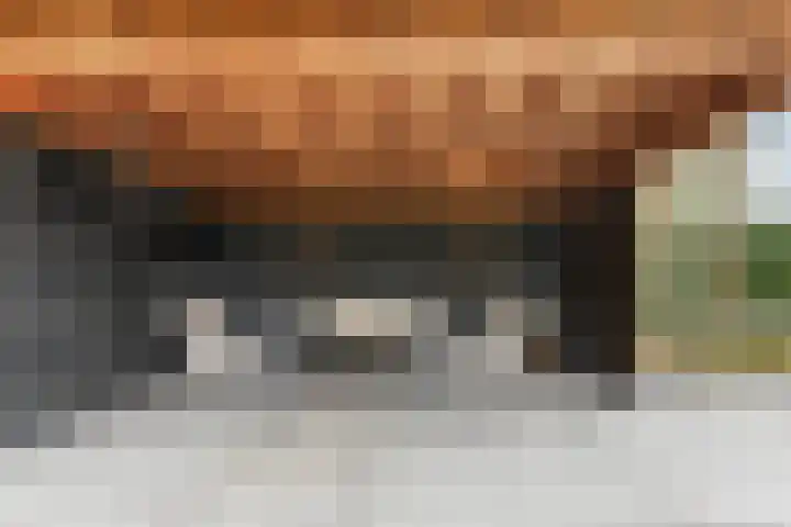 Herman Boerhaavestraat 9 Waspik thumbnail 51