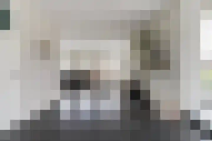 Herman Boerhaavestraat 9 Waspik thumbnail 9