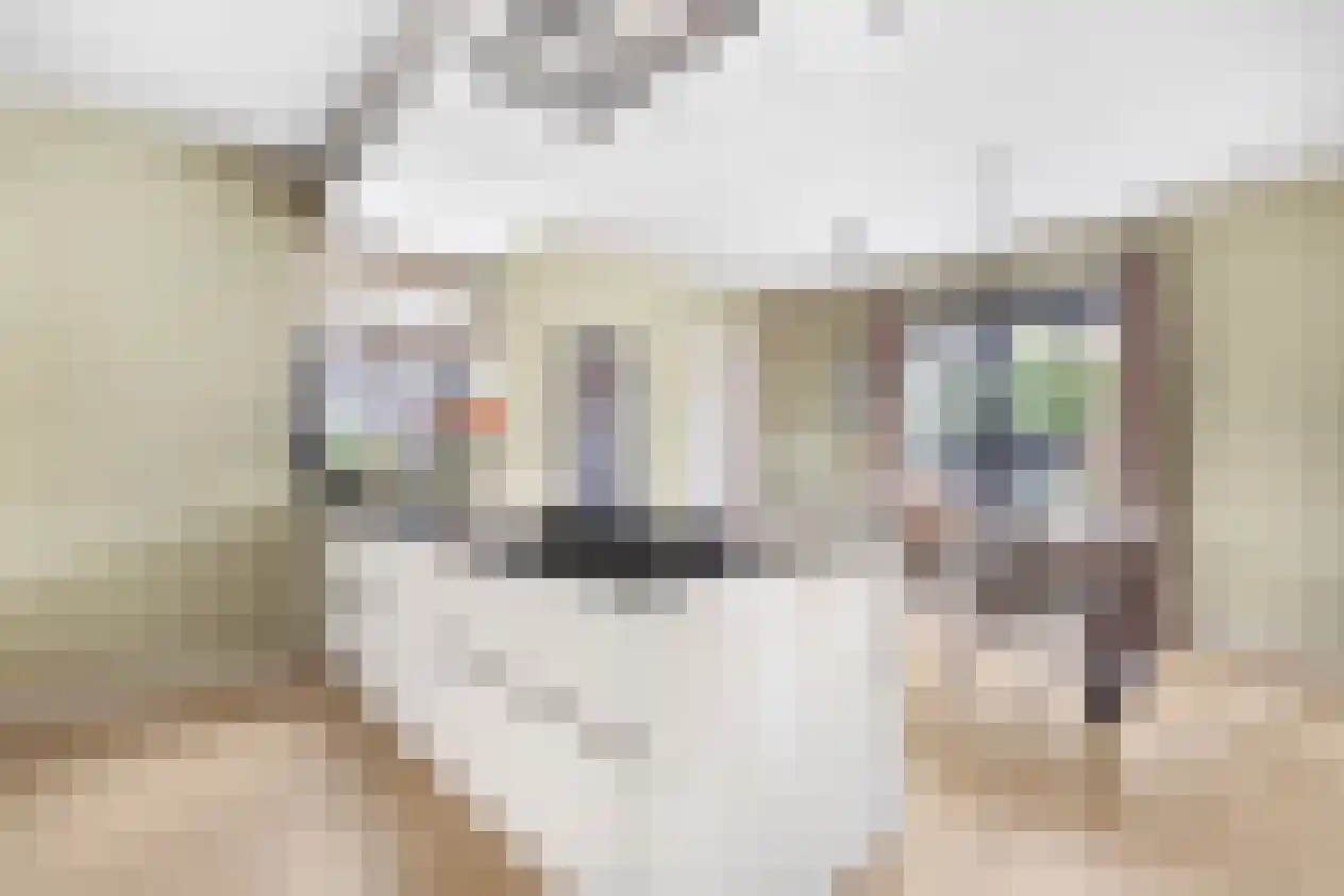 Herman Broekhuizenstraat 8 Hilversum thumbnail 16