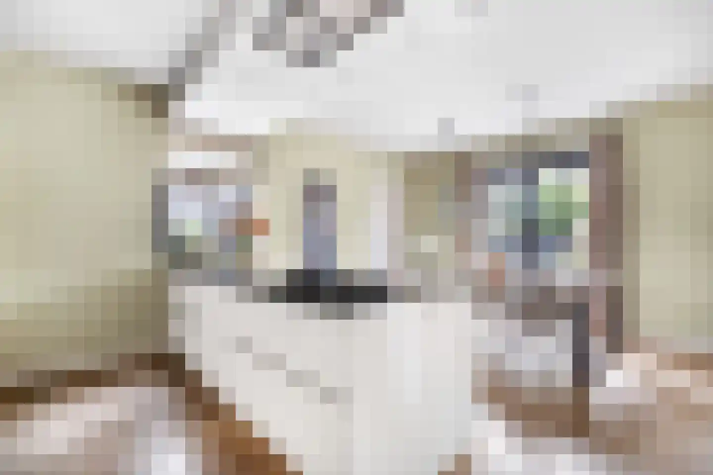 Herman Broekhuizenstraat 8 Hilversum thumbnail 31
