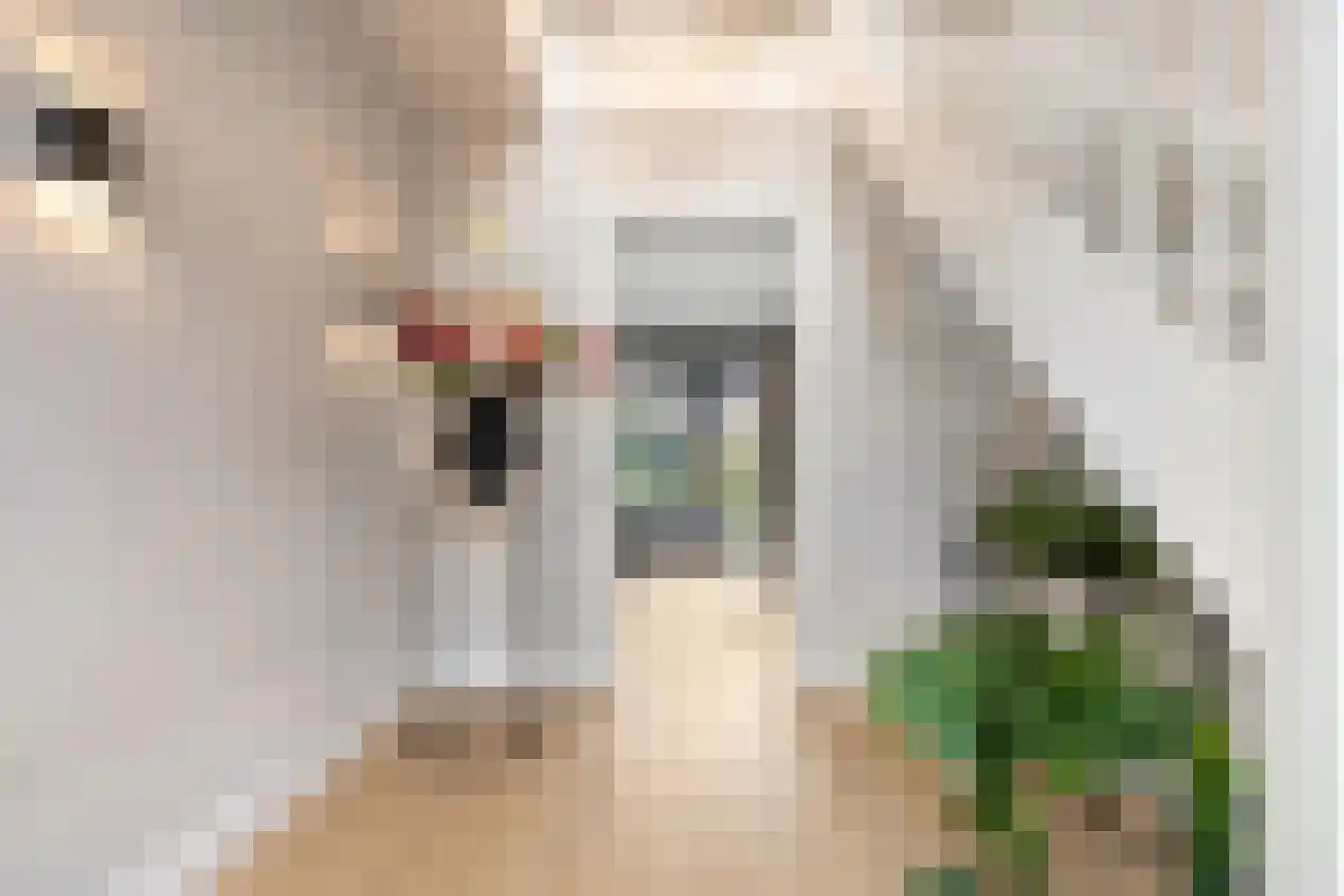 Herman Broekhuizenstraat 8 Hilversum thumbnail 5
