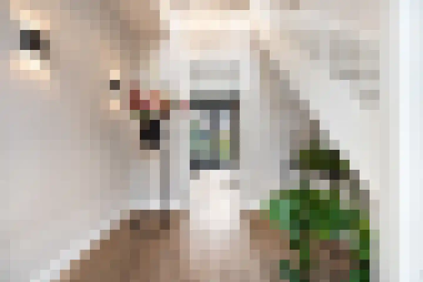 Herman Broekhuizenstraat 8 Hilversum thumbnail 9
