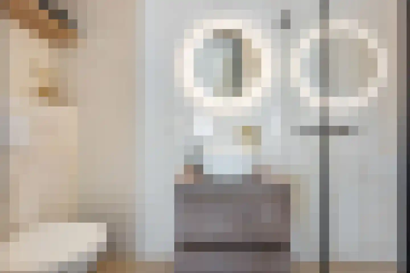 Herman Broodhof 2 Zaandijk thumbnail 16