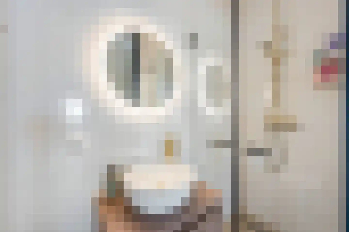Herman Broodhof 2 Zaandijk thumbnail 17