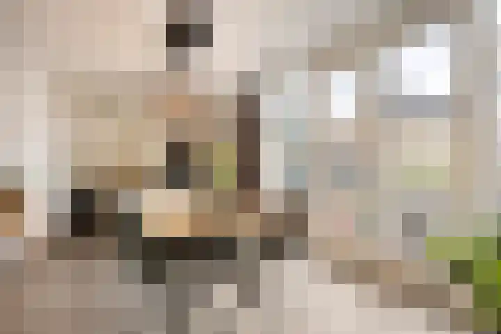 Herman Broodstraat 1 Heesch thumbnail 10