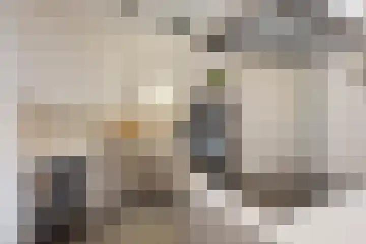 Herman Broodstraat 1 Heesch thumbnail 11
