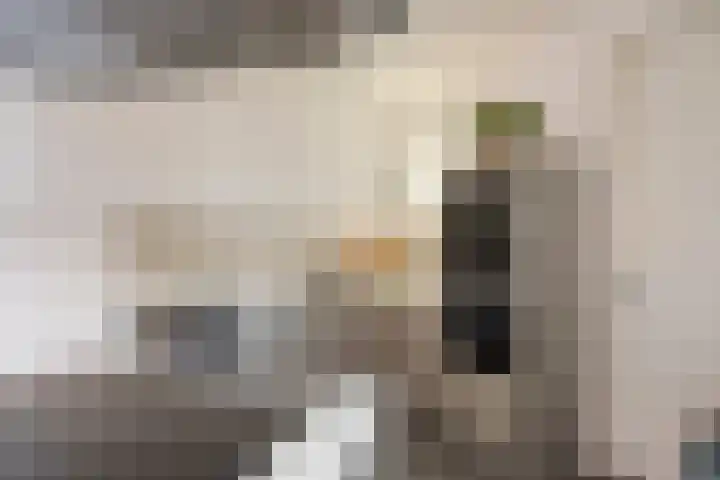 Herman Broodstraat 1 Heesch thumbnail 12