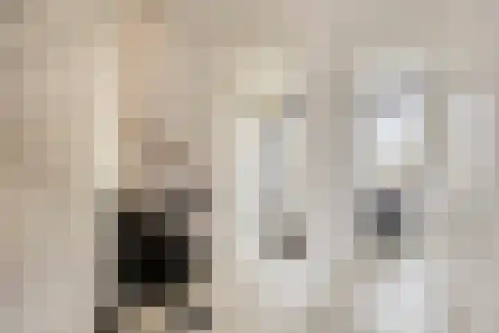 Herman Broodstraat 1 Heesch thumbnail 16