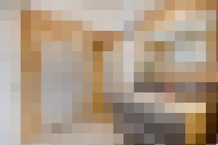Herman Broodstraat 1 Heesch thumbnail 23