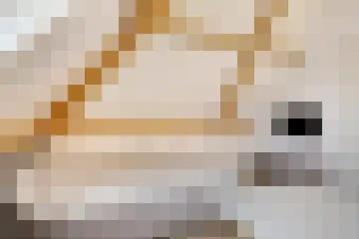 Herman Broodstraat 1 Heesch thumbnail 25
